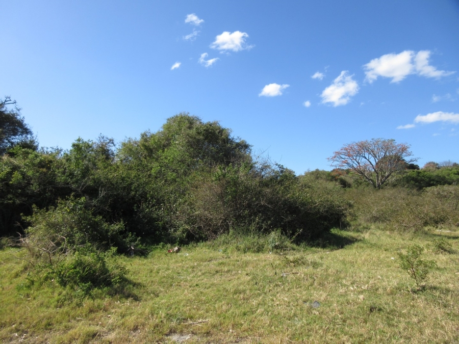 0 Bedroom Property for Sale in Bathurst Eastern Cape